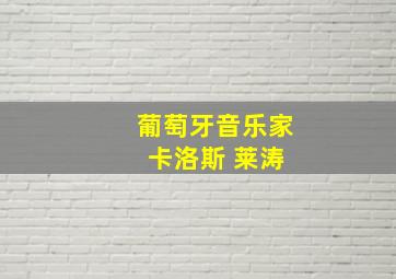 葡萄牙音乐家 卡洛斯 莱涛